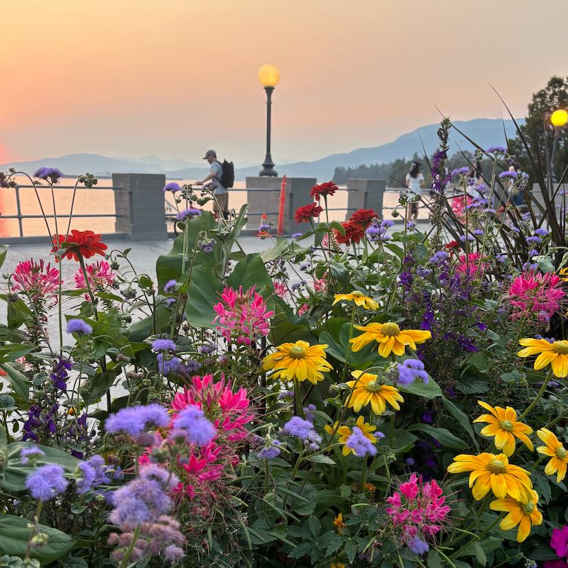 Flowers West End Vancouver
